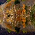 Robert Newell White Mountain  Reflections photo rag paper 25.5 x 12