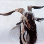 Melinda Myers Grass<br>
Everett<br>
<b>Don Juan II</b><br>
Oil on canvas<br>
20 x 28<br>

