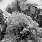 Robert S. Newell, 
Pittsburgh<br>
<b>Yosemite-Natures Layers</b><br>
Photo-rag paper-Dig Ink Jet<br>
8" x 12"<br>
