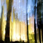 Suzanne Andrews<br>
<b>Edge of Light </b> 
Photography-Continuous Tone Print
32 x 40<br>
<b>Critic's Choice Award</b><br>
Kurt Shaw-Tribune Review<br>Sponsored by Bonnie Hoffman<br>