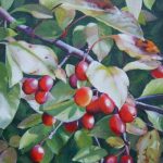 AWARD OF MERIT, Karen Ferrick, <b>Lush </b>Oil on canvas, 16 x 16