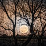 Denise Eidemiller, <b>October Moon</b> Continuous tone print. 16 x 20 