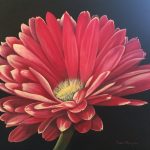Denise Maughan
 <b>Pink Gerbera Daisy </b>
Oil, 
20 x 20