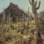 <h3>Robert S. Newell, <b>Morning Light-Saguaro National Park,</b>  Oil on Canvas Board, 8  x 10</h3>