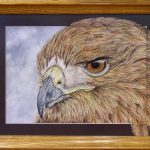 <h3>Shelley Poli, <b>Red Tail Hawk,</b>  Watercolor, 27  x 21</h3>