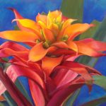 Marianne Fyda, Bromeliad No.3, 
Soft Pastel on Mounted Uart Paper 28 x 33.5
