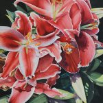 Larry Mallory, Ruby Red Lily, Watercolor on Paper, 
39 x 31
