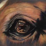 Cindy Berceli, <B>Eye of the Horse, </B>
Pastel, 18 x 22
