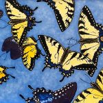 Lydia Mack, 
<B>Swallowtail Soiree, </B>
Oils on canvas, 
10 x 20