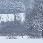 James Murphy,
Snowy Day Hike,
Photograph - Digital Inkjet on Paper,
16 x 20