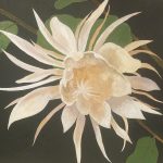 Robert L. Bowden
Pittsburgh
Night Blooming Cereus,
Oil on canvas,
24 x 24